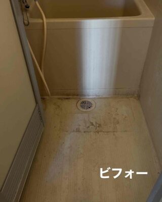 334103D5-FEB9-42D9-808D-1426CE733328.jpg